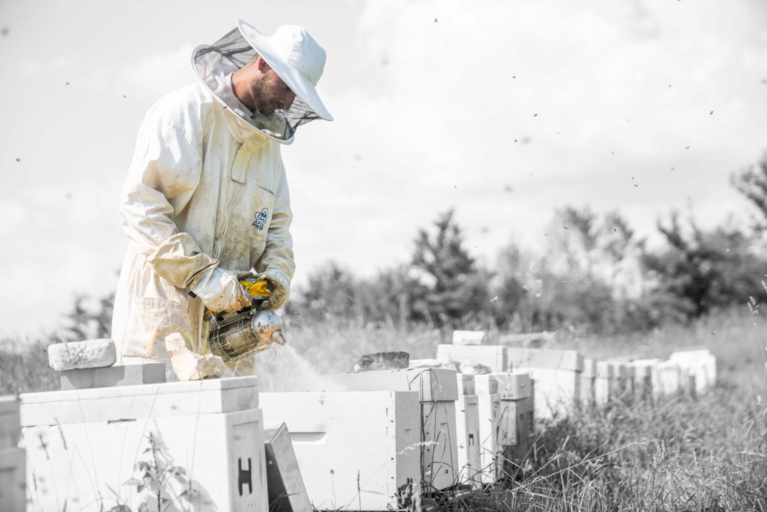 Ruches Apisphère en Périgord - apiculture artisanale et durable